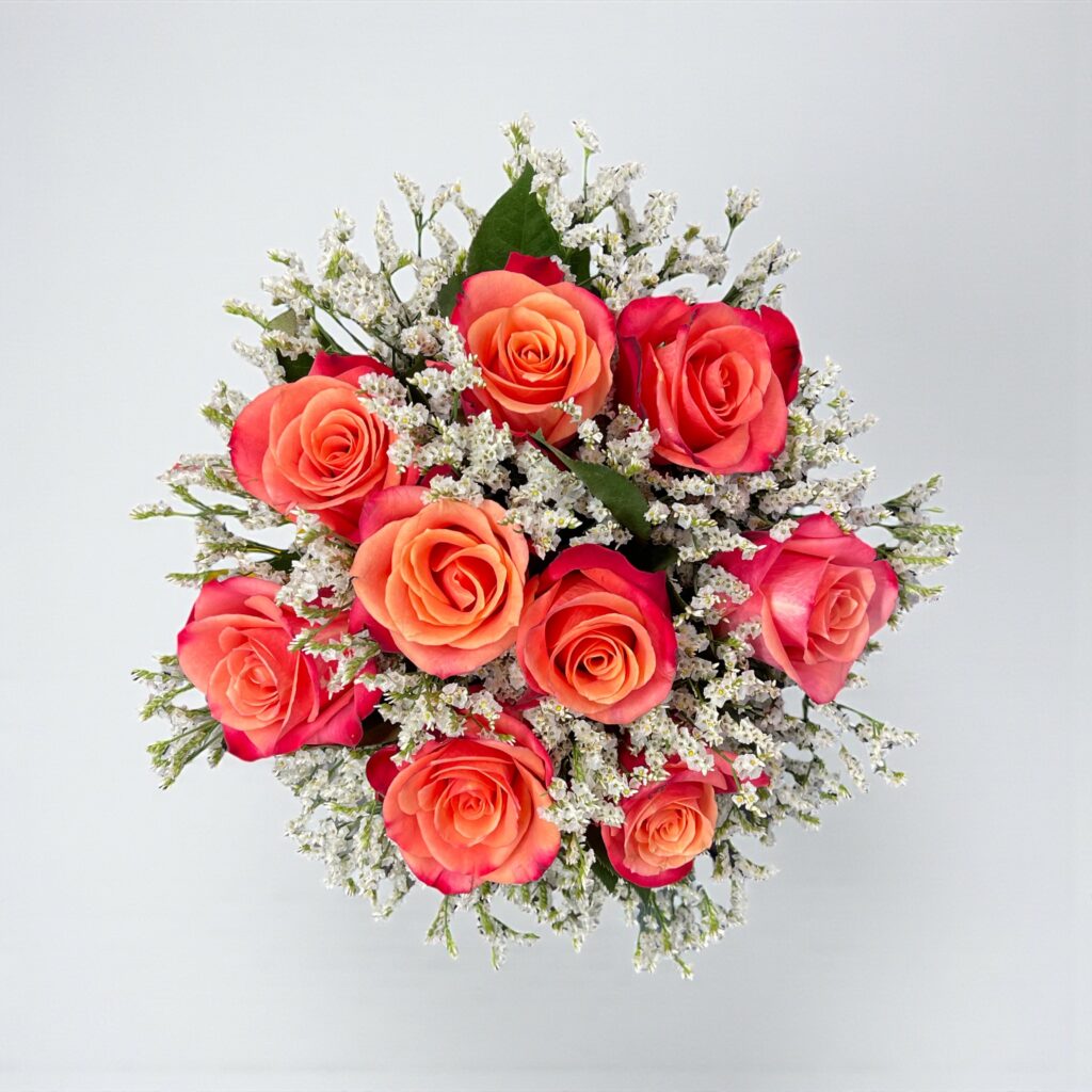 Helenenstrauß FG Bloom