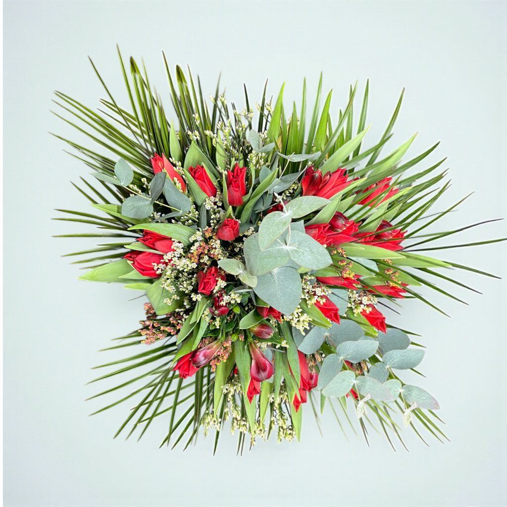 Tulpenwunder - FG Bloom