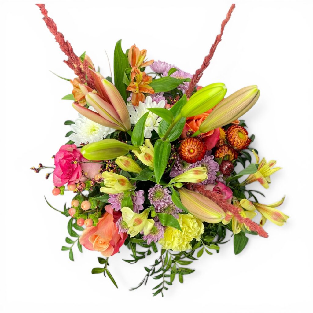 Frühlingsüberraschung